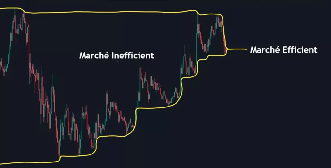 Représente l'Efficience du Marché